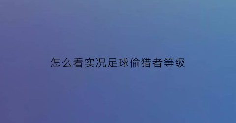 怎么看实况足球偷猎者等级(实况足球偷猎者和禁区之狐)