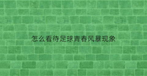 怎么看待足球青春风暴现象(怎么看待足球青春风暴现象呢)