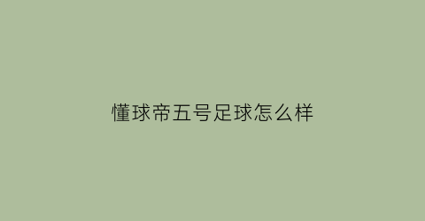 懂球帝五号足球怎么样(懂球帝懂球号)