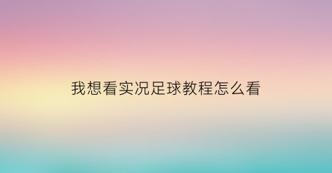 我想看实况足球教程怎么看(实况足球如何看所有球员)