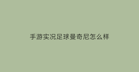 手游实况足球曼奇尼怎么样(实况足球曼祖基奇)