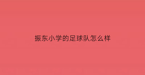 振东小学的足球队怎么样(振东小学校长)