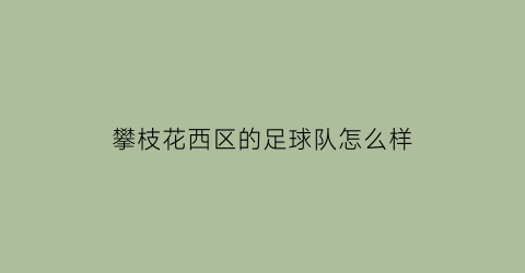 攀枝花西区的足球队怎么样(攀枝花足球训练基地)