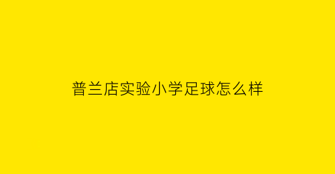 普兰店实验小学足球怎么样(普兰店实验小学电话)