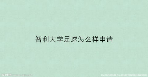 智利大学足球怎么样申请(智利足球咋样)