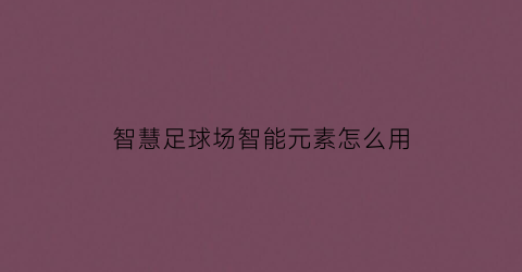 智慧足球场智能元素怎么用(智能化足球场)