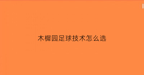 木樨园足球技术怎么选(木樨园运动学校招生电话)