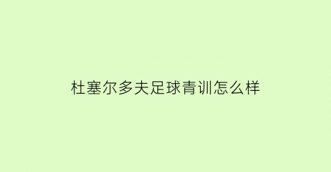 杜塞尔多夫足球青训怎么样(杜塞尔多夫足球青训怎么样知乎)