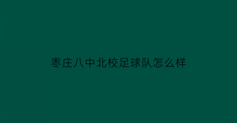 枣庄八中北校足球队怎么样(枣庄八中北校南校东校哪个好)