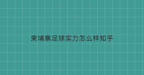 柬埔寨足球实力怎么样知乎(柬埔寨足球队主教练是谁)