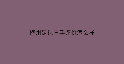 梅州足球国手评价怎么样(梅州市足球)