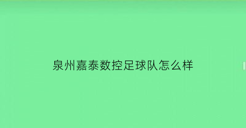 泉州嘉泰数控足球队怎么样(泉州嘉泰数控科技股份公司)