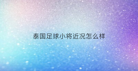 泰国足球小将近况怎么样(泰国13位足球队消失)