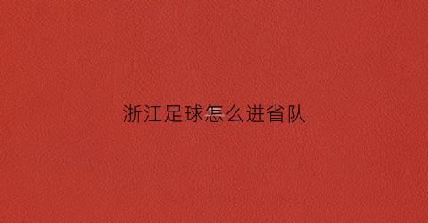浙江足球怎么进省队(浙江足球怎么进省队队员)