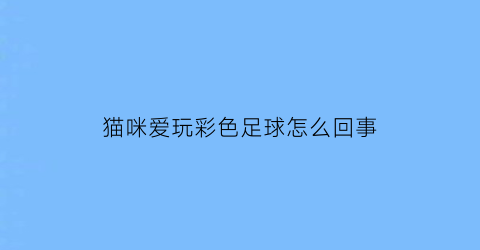 猫咪爱玩彩色足球怎么回事(猫咪喜欢玩球用英语怎么说)