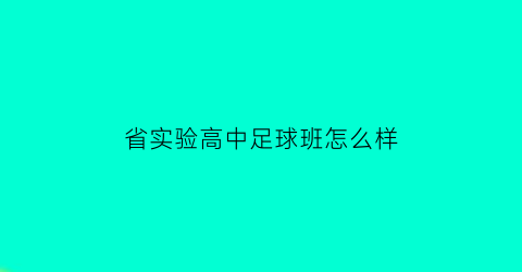 省实验高中足球班怎么样(实验中学足球)