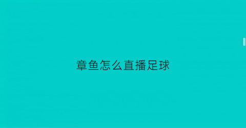 章鱼怎么直播足球(章鱼直播足球主播收入)