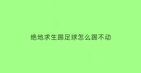 绝地求生踢足球怎么踢不动(绝地求生踢球怎么开大脚)