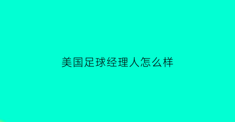 美国足球经理人怎么样(美国足球经理人怎么样啊)