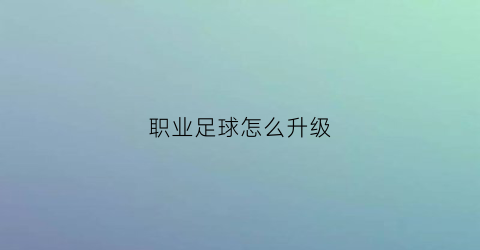 职业足球怎么升级(足球怎么晋级)