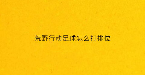 荒野行动足球怎么打排位(荒野行动足球怎么打排位的)