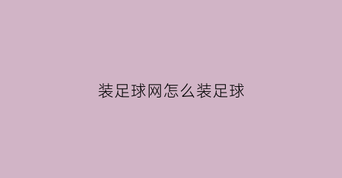 装足球网怎么装足球(足球怎么装在球网里)