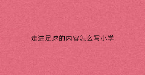 走进足球的内容怎么写小学(走进足球场)
