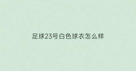 足球23号白色球衣怎么样(23号球衣是谁穿的)