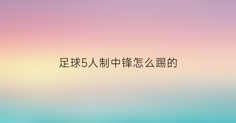 足球5人制中锋怎么踢的(五人制足球几个前锋)