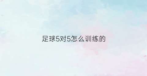 足球5对5怎么训练的(足球五对五位置阵容)