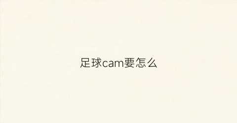 足球cam要怎么(足球cam和cdm)