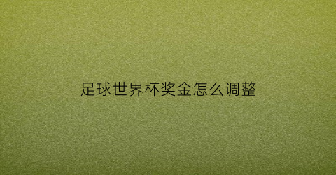 足球世界杯奖金怎么调整(足球世界杯奖金怎么调整比例)