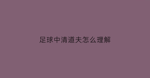 足球中清道夫怎么理解(足球中清道夫是什么意思)