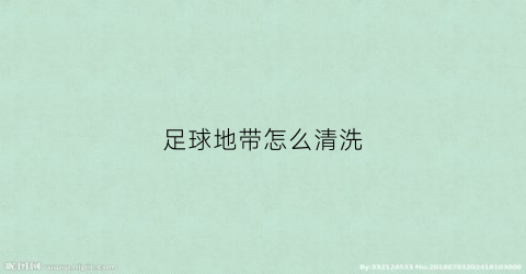 足球地带怎么清洗(足球脏了用什么洗)