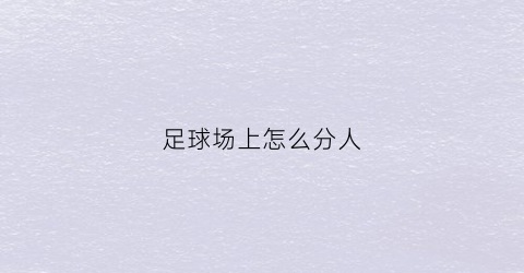 足球场上怎么分人(足球场上的人员分配)