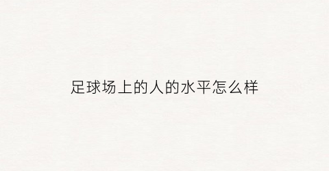 足球场上的人的水平怎么样(足球场上人员位置图解)