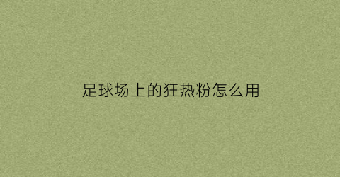 足球场上的狂热粉怎么用(足球狂热国家)