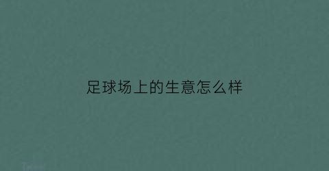 足球场上的生意怎么样(足球场怎么盈利)