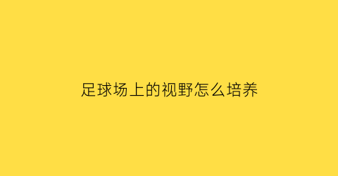 足球场上的视野怎么培养(怎么练足球场上的视野)