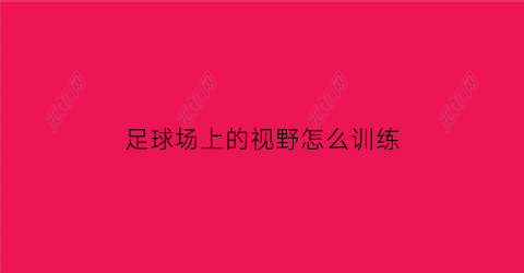 足球场上的视野怎么训练(足球视野是什么)