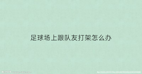 足球场上跟队友打架怎么办(足球场上打架会怎么样)