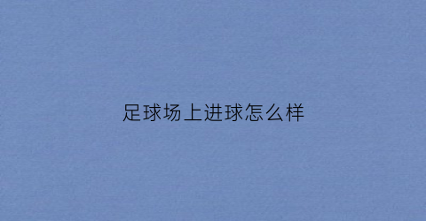 足球场上进球怎么样(足球进球的地方叫什么)
