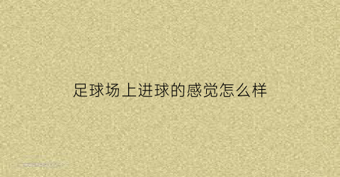 足球场上进球的感觉怎么样(足球进球的那个地方叫什么)