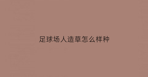 足球场人造草怎么样种(足球场人造草坪是真草吗)