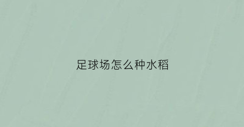 足球场怎么种水稻(足球场草皮种植)