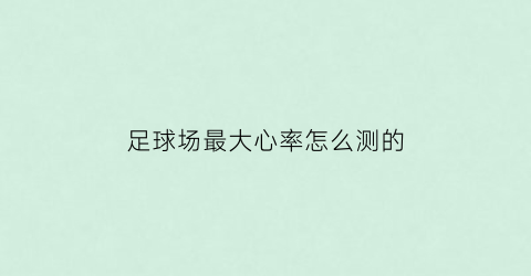 足球场最大心率怎么测的(足球心率)