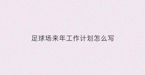 足球场来年工作计划怎么写(足球比赛工作计划)