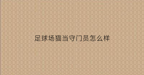 足球场猫当守门员怎么样(足球场上的猫在哪个足球场)