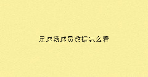 足球场球员数据怎么看(足球场球员位置图)