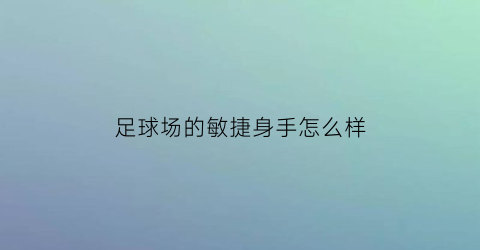 足球场的敏捷身手怎么样(足球场合)